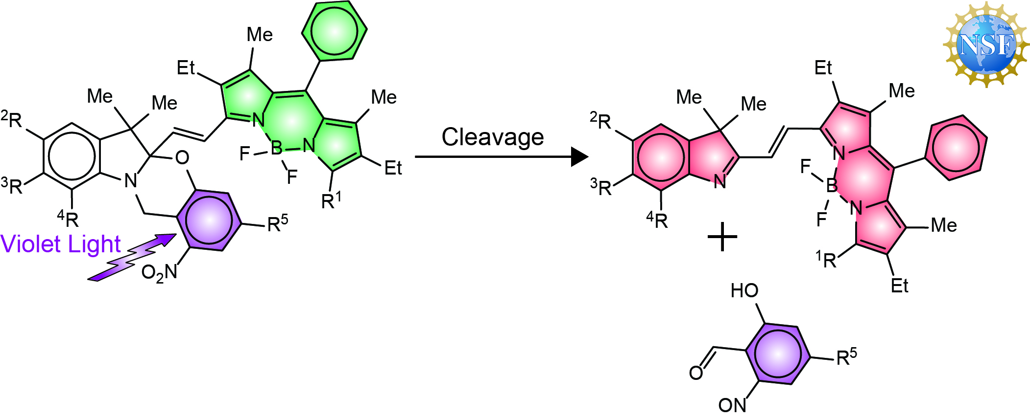 Irreversible Photoactivatable Fluorophores