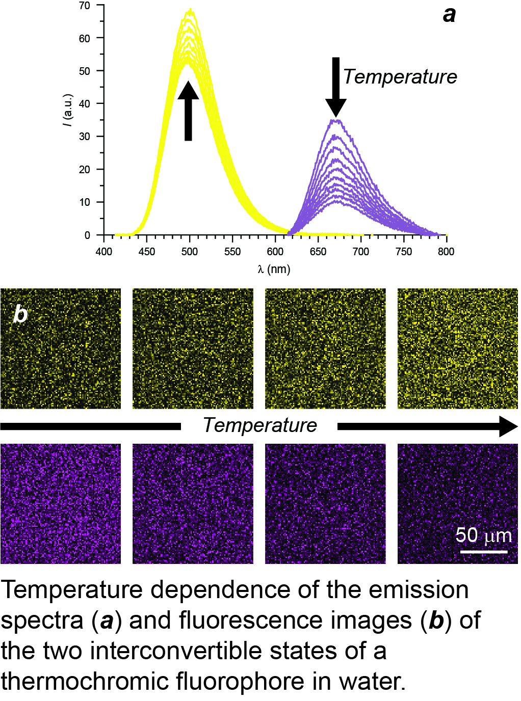 Thermochromic Fluorophores