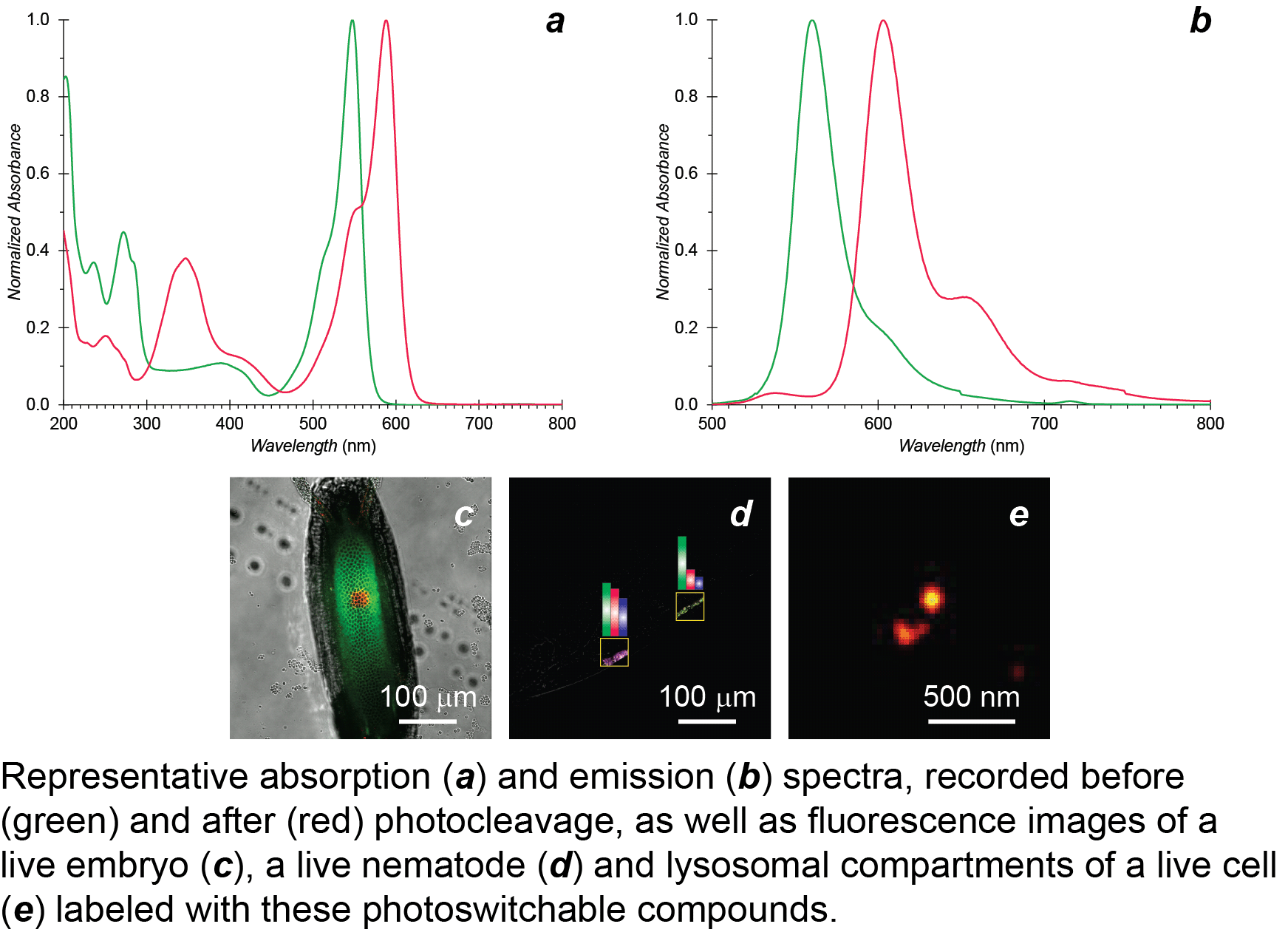 Irreversible Photoactivatable Fluorophores [Charts]