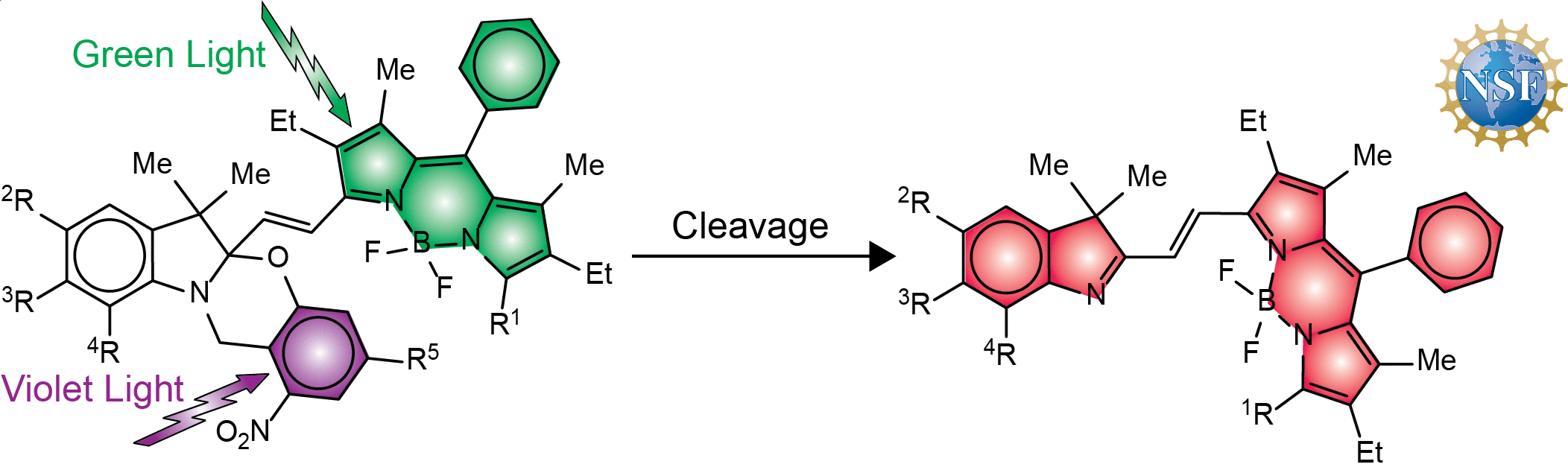 Irreversible Photoactivatable Fluorophores [Structures]